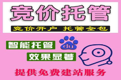 精准营销的秘诀：百度竞价广告的投放策略与效果